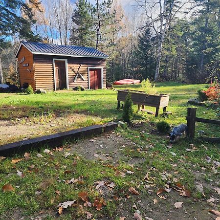Chalet Nabu L'Ours - Riviere - Billard Saint-Alexis-des-Monts Eksteriør billede
