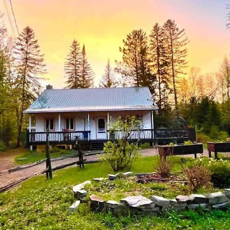 Chalet Nabu L'Ours - Riviere - Billard Saint-Alexis-des-Monts Eksteriør billede
