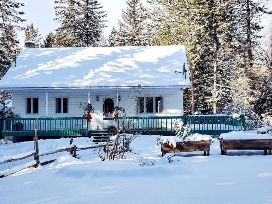 Chalet Nabu L'Ours - Riviere - Billard Saint-Alexis-des-Monts Eksteriør billede