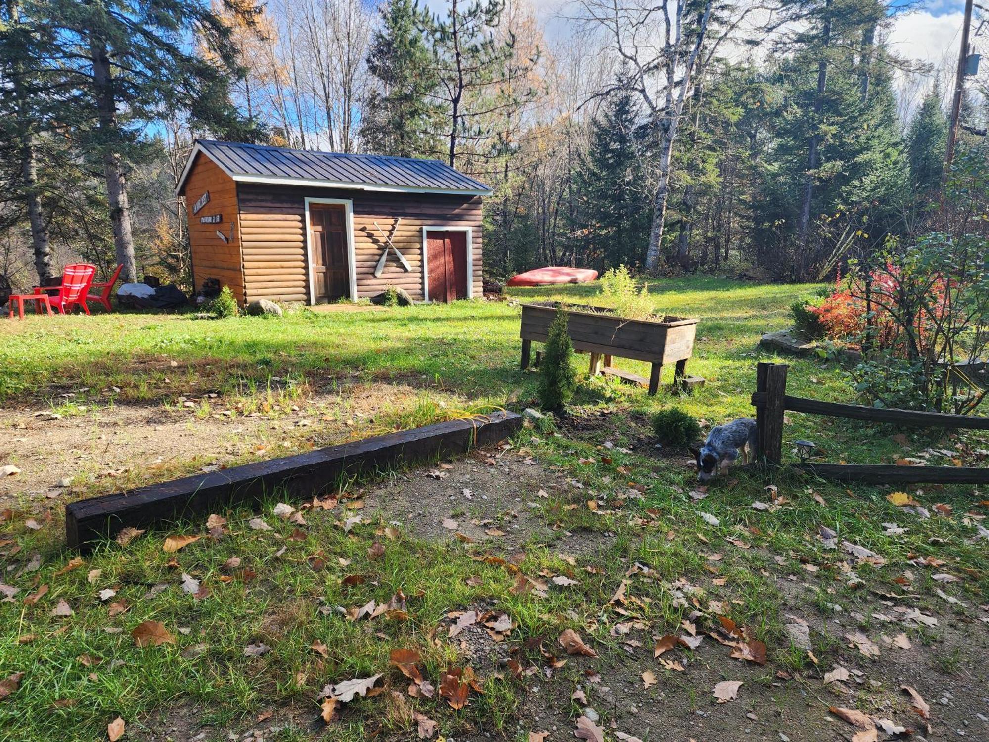 Chalet Nabu L'Ours - Riviere - Billard Saint-Alexis-des-Monts Eksteriør billede